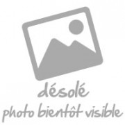 BOSCH MIXEUR PLONG 750W BAROQUE PIED IX BOL+COUVERCLE